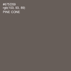 #675D59 - Pine Cone Color Image